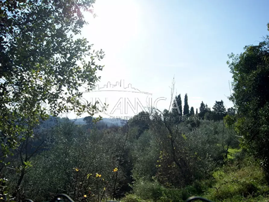 Immagine 14 di Rustico / casale in vendita  a Palaia