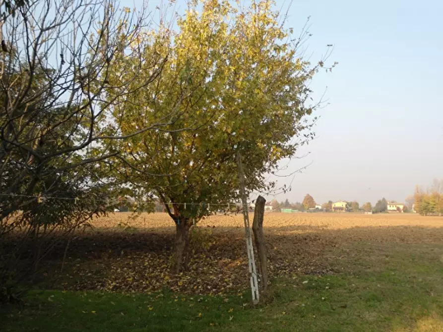 Immagine 1 di Terreno in vendita  a Cervarese Santa Croce