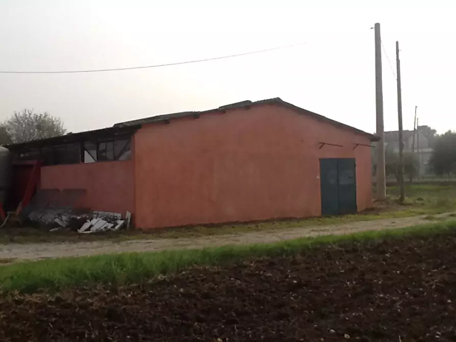 Immagine 2 di Capannone industriale in vendita  a Santarcangelo Di Romagna