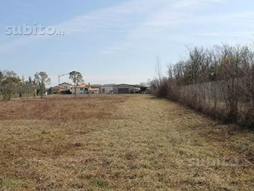 Immagine 2 di Terreno in vendita  a Bagnaria Arsa