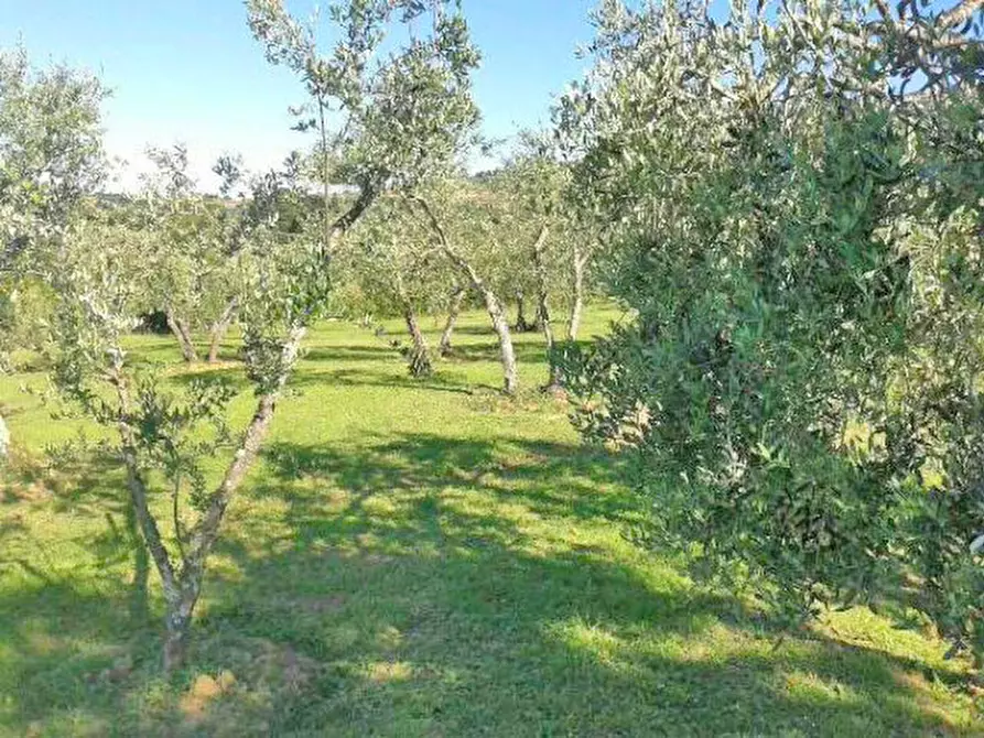 Immagine 46 di Rustico / casale in vendita  in via le contesse case sparse a Cortona