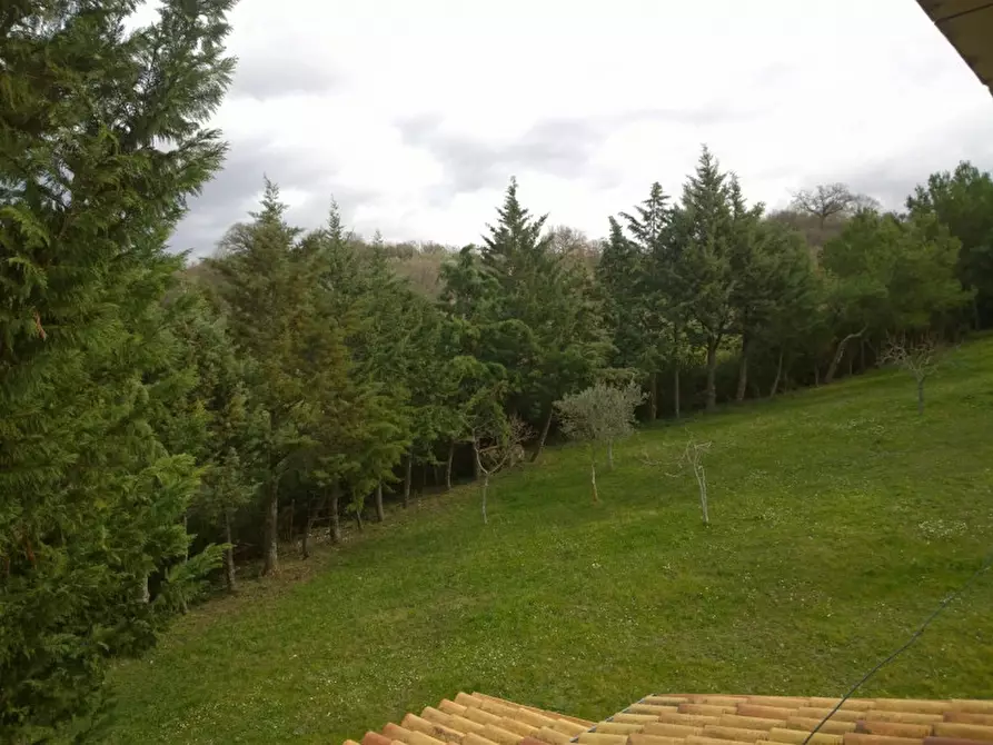 Immagine 10 di Casa indipendente in vendita  in VIA MORTELLE a Serre