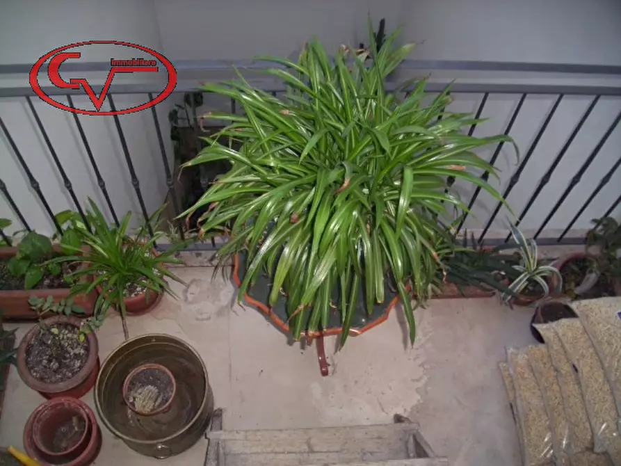 Immagine 28 di Appartamento in vendita  in Poggio Bracciolini, 46 a Montevarchi