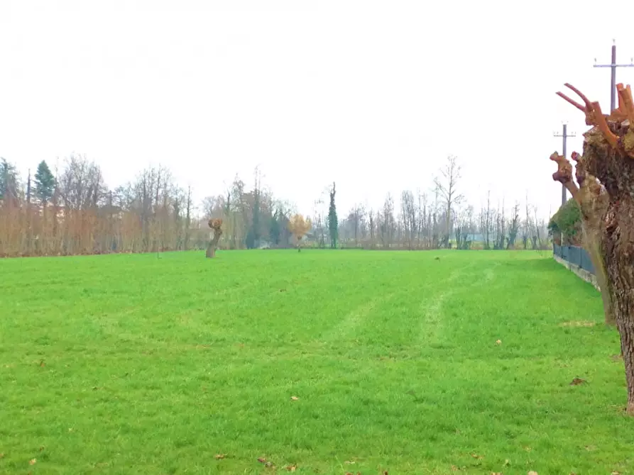Immagine 1 di Terreno in vendita  a Grantorto