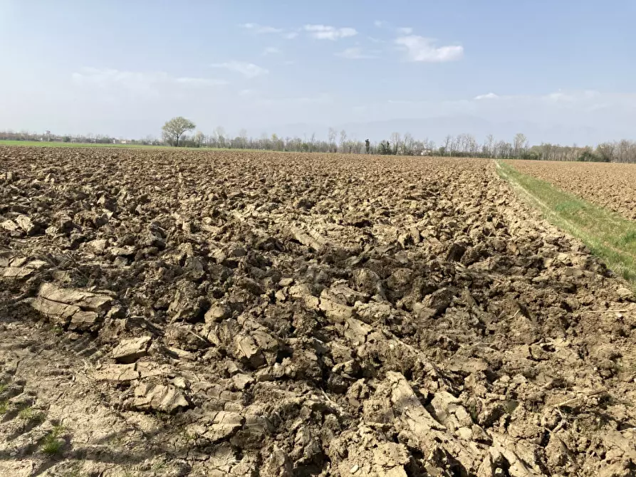 Immagine 2 di Terreno in vendita  a Castello Di Godego