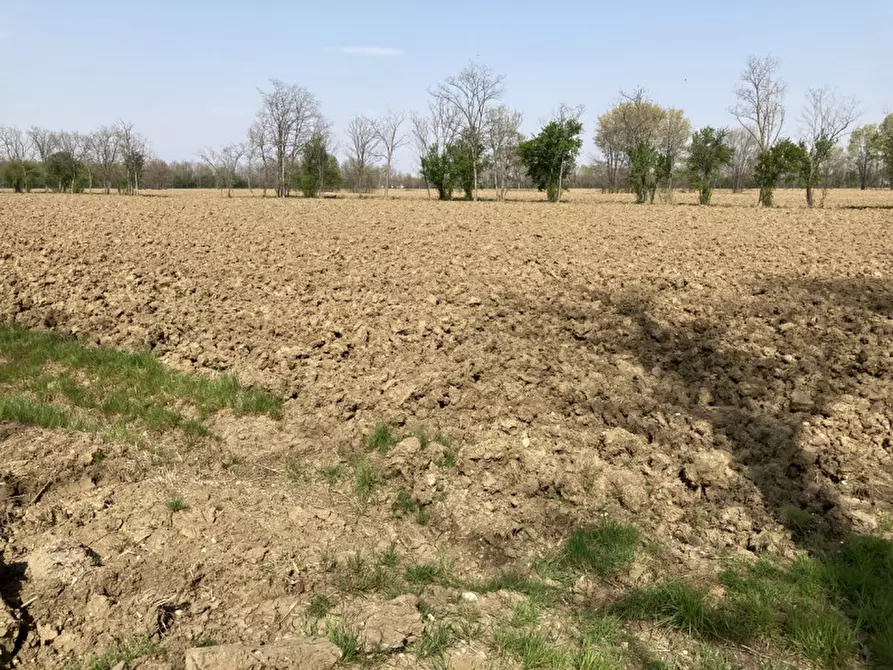 Immagine 3 di Terreno in vendita  a Castello Di Godego