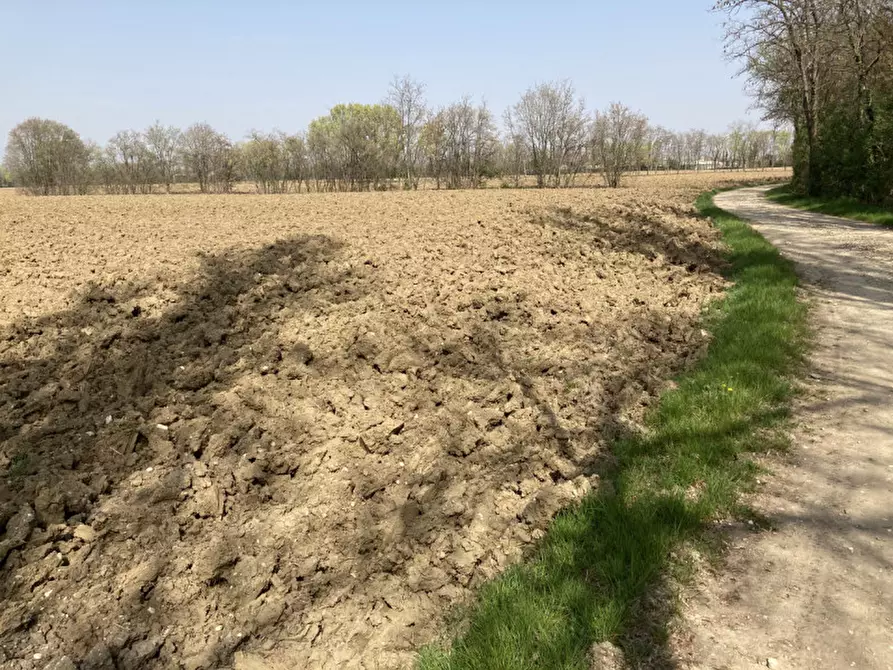 Immagine 4 di Terreno in vendita  a Castello Di Godego