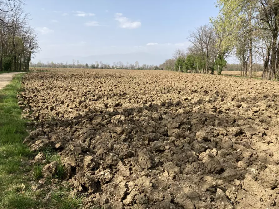 Immagine 5 di Terreno in vendita  a Castello Di Godego