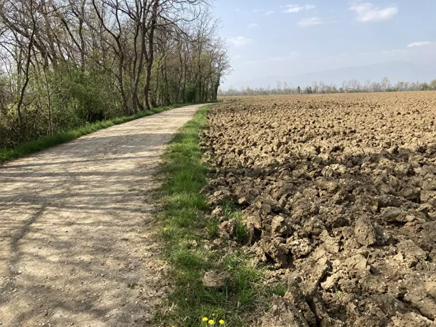 Immagine 6 di Terreno in vendita  a Castello Di Godego