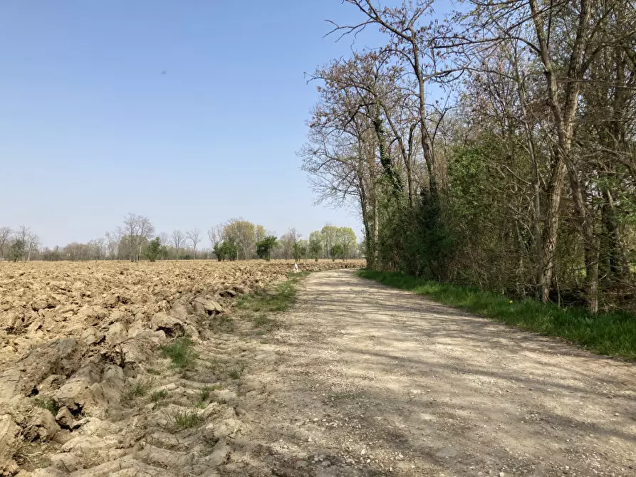 Immagine 7 di Terreno in vendita  a Castello Di Godego