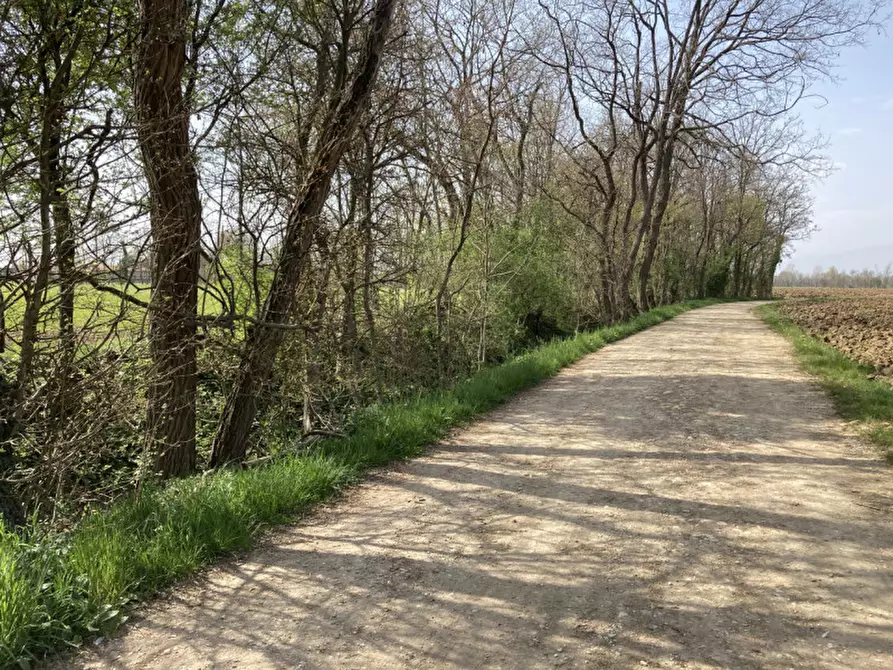 Immagine 8 di Terreno in vendita  a Castello Di Godego