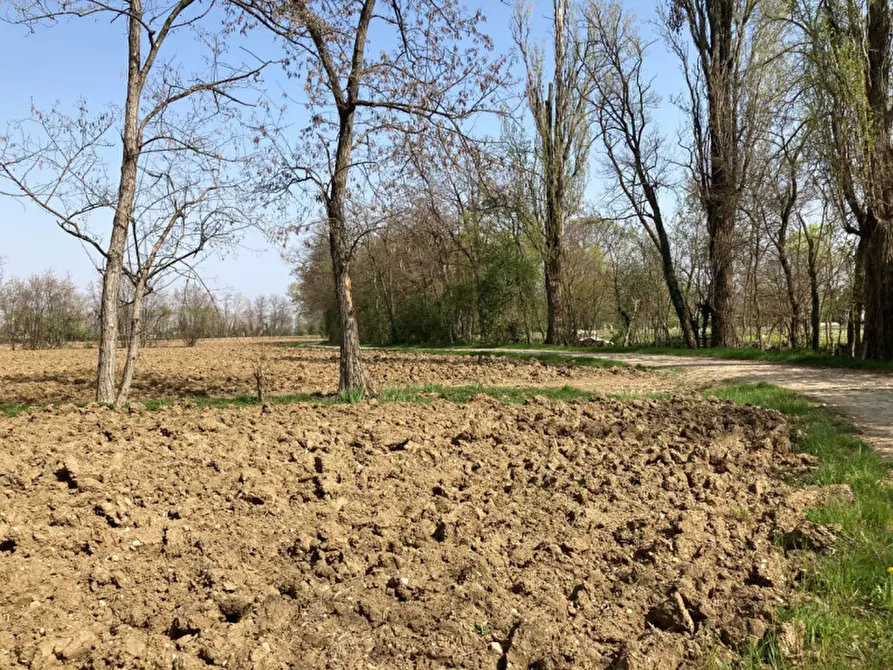 Immagine 9 di Terreno in vendita  a Castello Di Godego