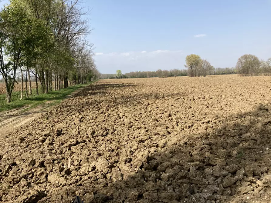 Immagine 10 di Terreno in vendita  a Castello Di Godego