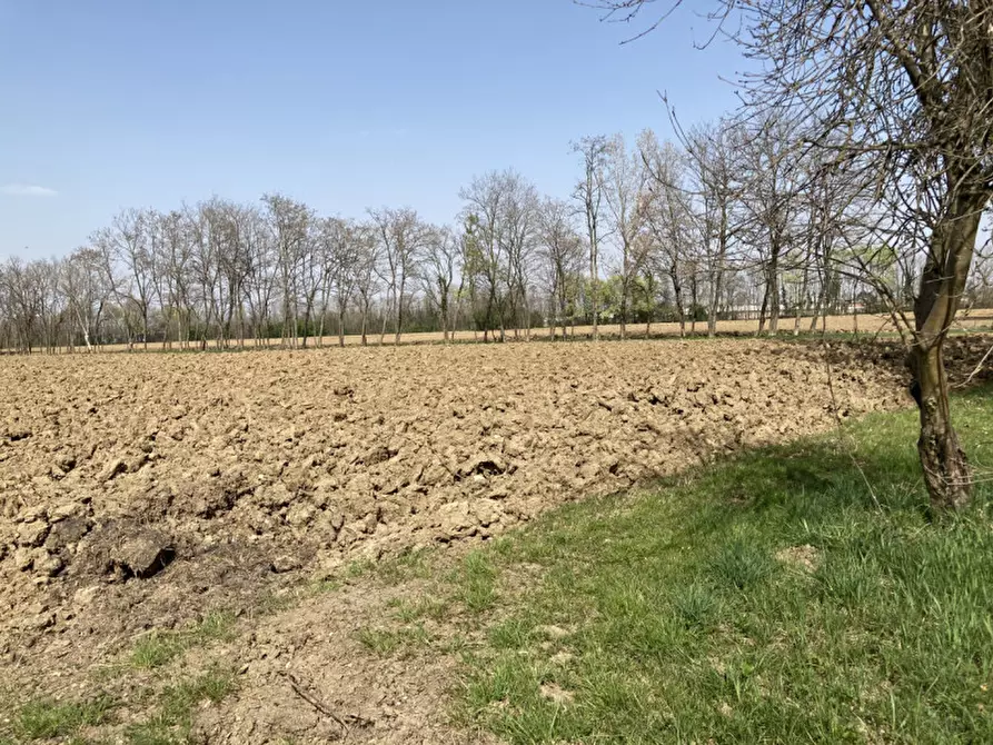 Immagine 12 di Terreno in vendita  a Castello Di Godego