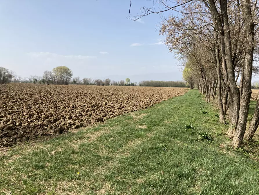 Immagine 13 di Terreno in vendita  a Castello Di Godego