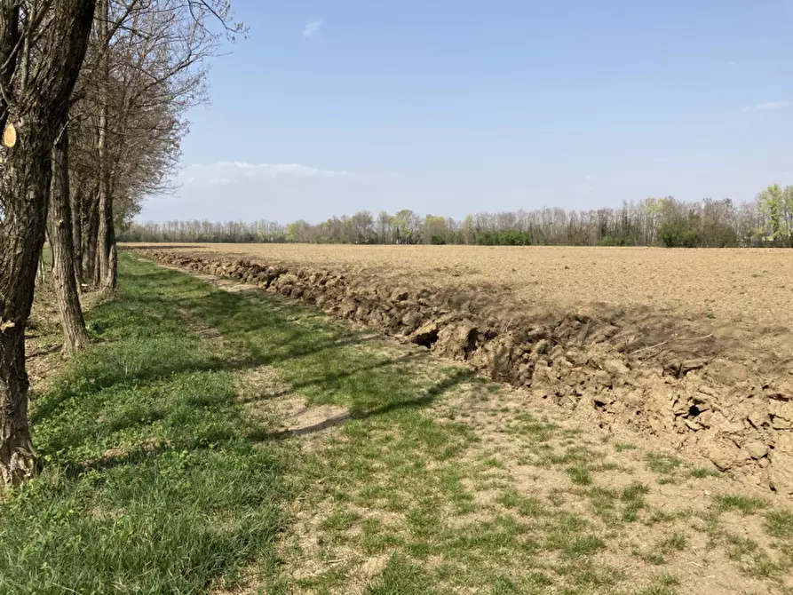 Immagine 14 di Terreno in vendita  a Castello Di Godego