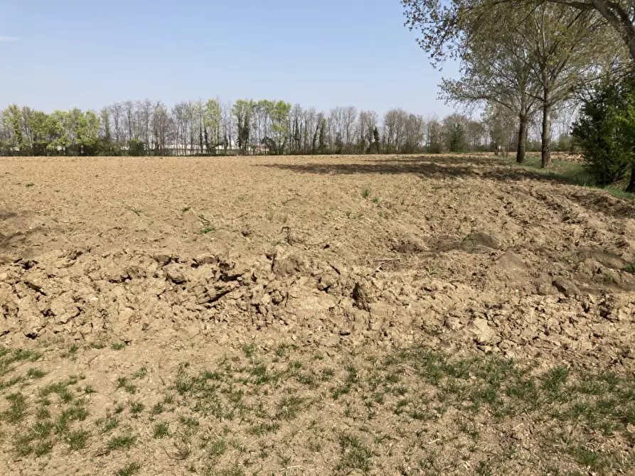 Immagine 15 di Terreno in vendita  a Castello Di Godego