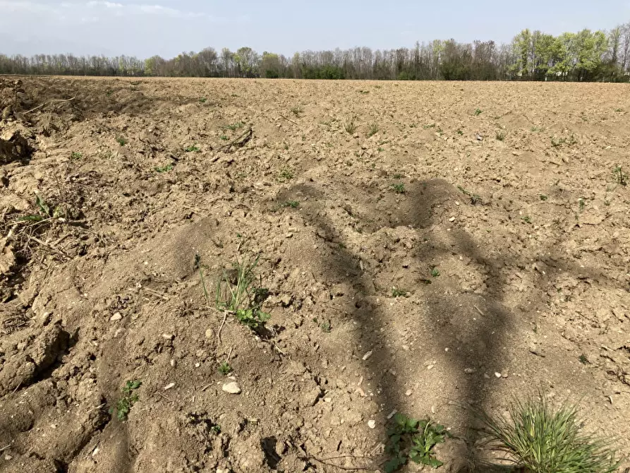 Immagine 16 di Terreno in vendita  a Castello Di Godego