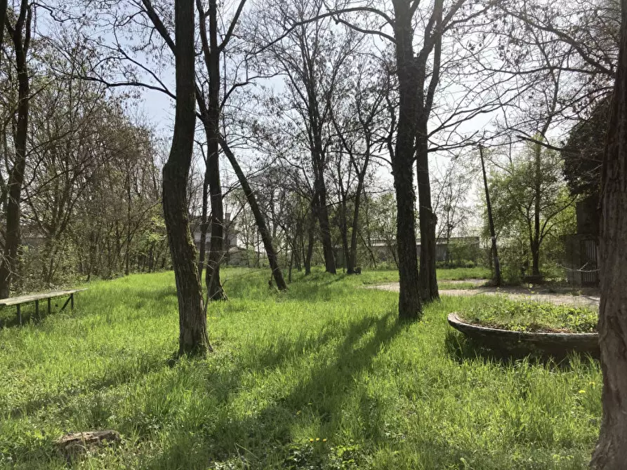 Immagine 24 di Terreno in vendita  a Castello Di Godego