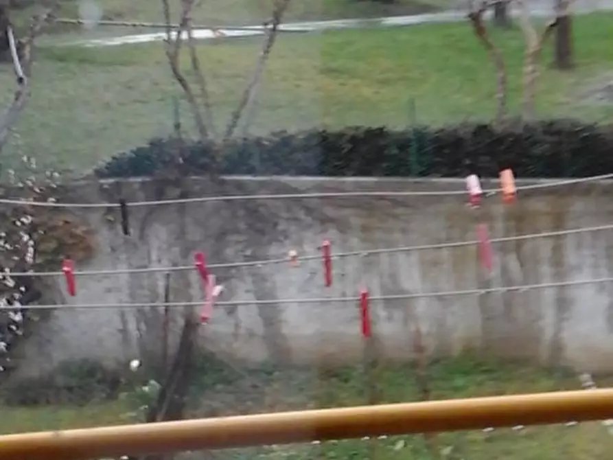 Immagine 14 di Appartamento in vendita  a Mondolfo