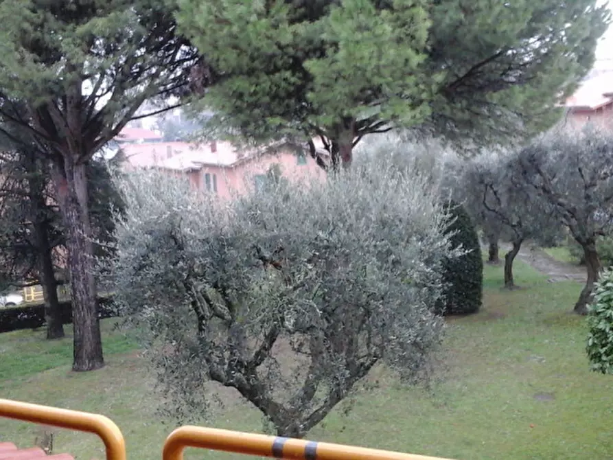 Immagine 26 di Appartamento in vendita  a Mondolfo