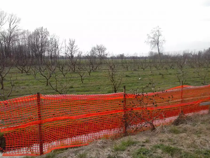 Immagine 9 di Casa indipendente in vendita  in CAPITELLO a Casale Sul Sile