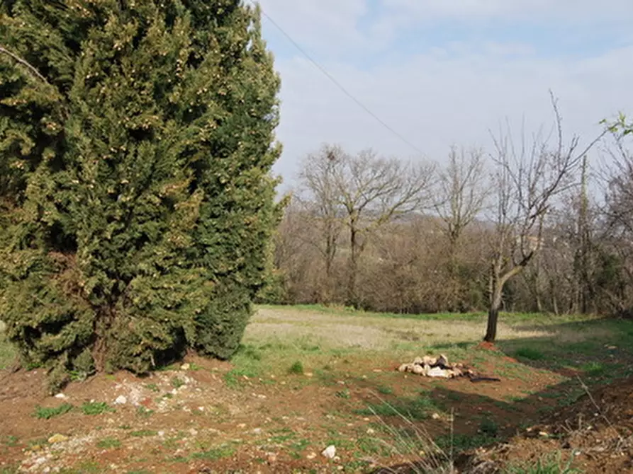 Immagine 4 di Terreno in vendita  a Val Liona