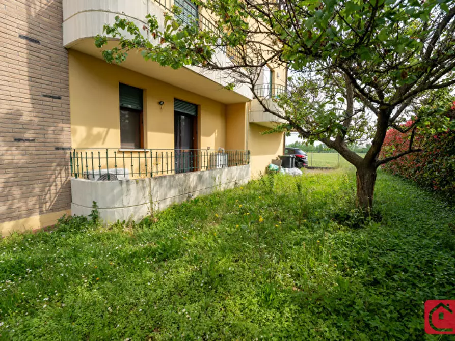 Immagine 3 di Appartamento in vendita  in Via Tintoretto 8 a Brugine