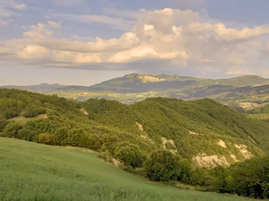 Immagine 18 di Casa indipendente in vendita  in Certalto a Macerata Feltria