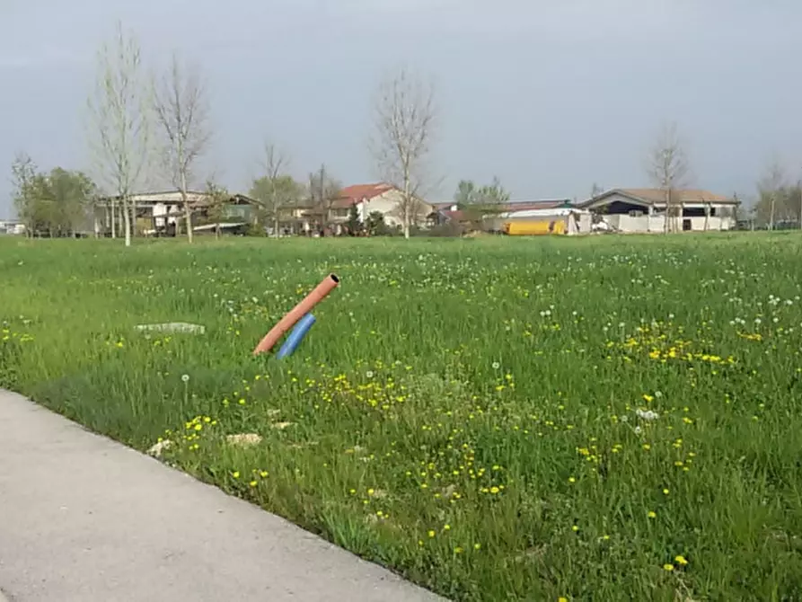Immagine 11 di Terreno in vendita  in villalta di gazzo a Gazzo Padovano