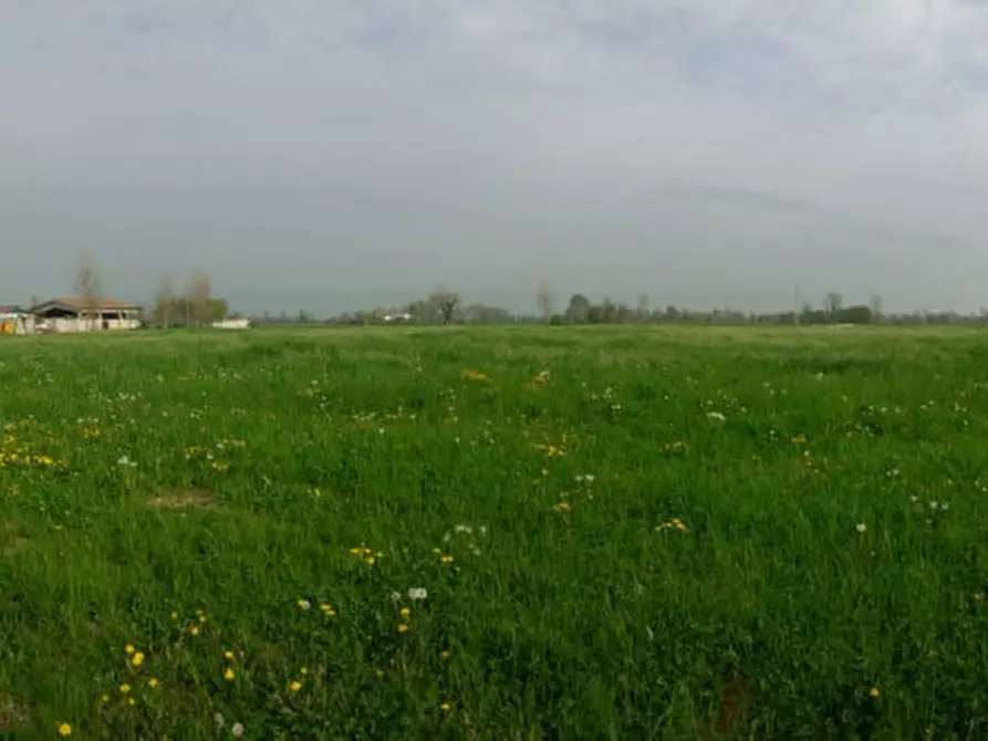 Immagine 13 di Terreno in vendita  in villalta di gazzo a Gazzo Padovano