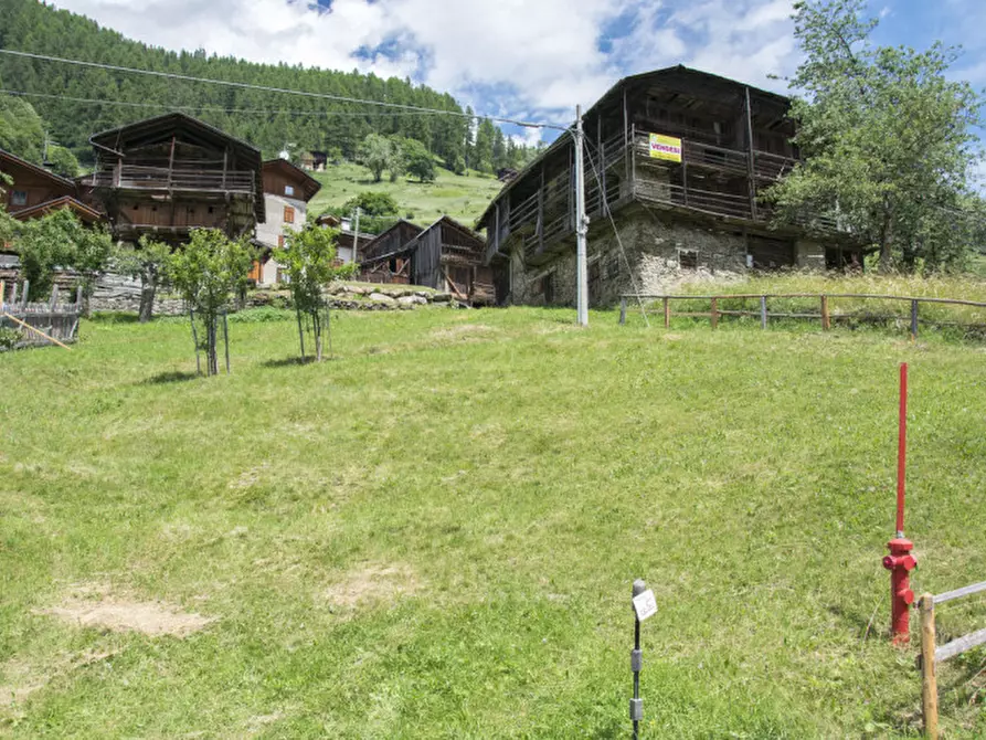 Immagine 3 di Rustico / casale in vendita  in Somrabbi a Rabbi