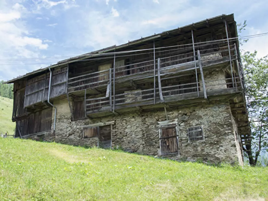 Immagine 8 di Rustico / casale in vendita  in Somrabbi a Rabbi