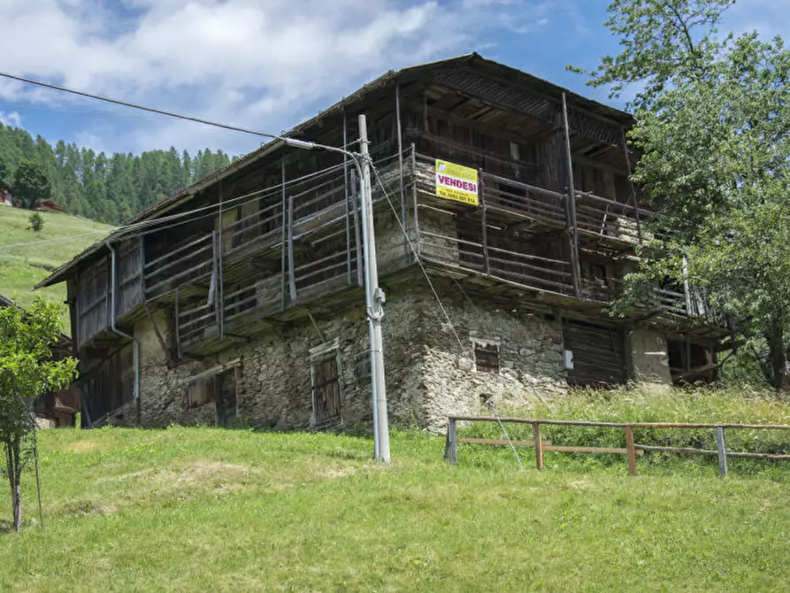 Immagine 9 di Rustico / casale in vendita  in Somrabbi a Rabbi