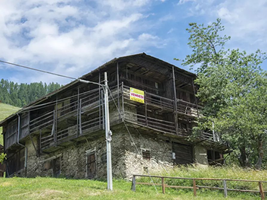 Immagine 11 di Rustico / casale in vendita  in Somrabbi a Rabbi