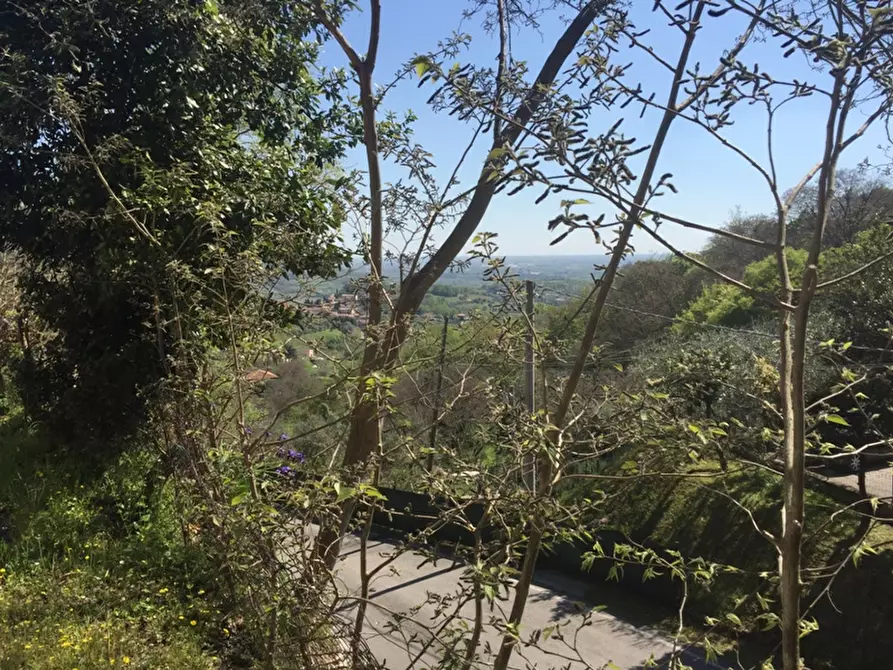 Immagine 4 di Rustico / casale in vendita  in VIA SCALETTE a Arqua' Petrarca