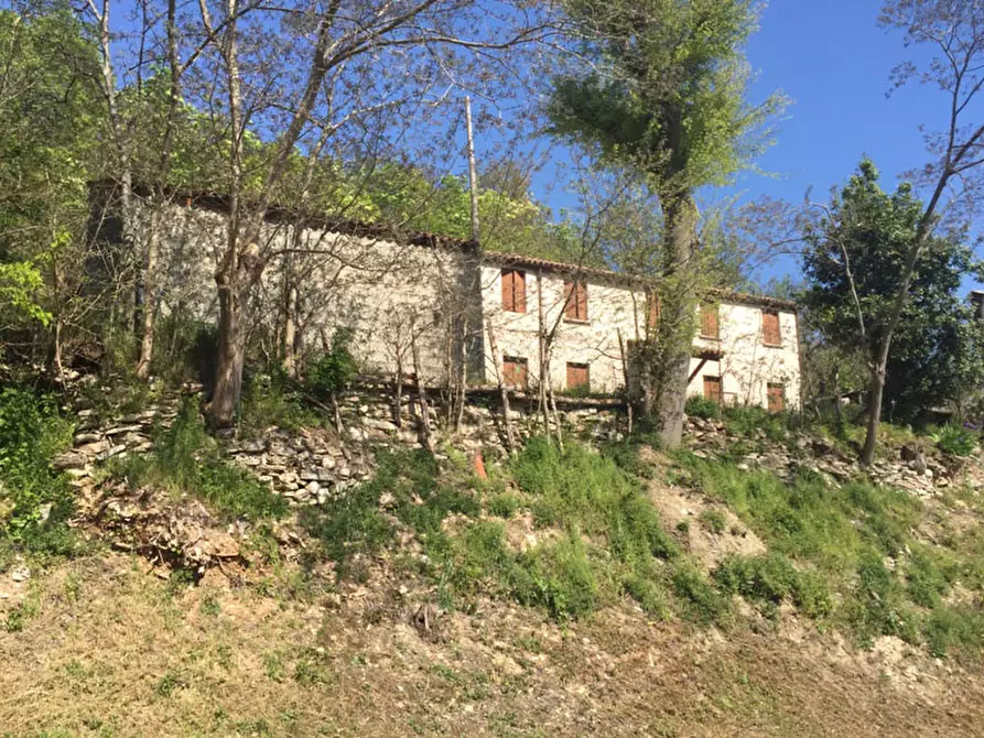 Immagine 1 di Rustico / casale in vendita  in VIA SCALETTE a Arqua' Petrarca