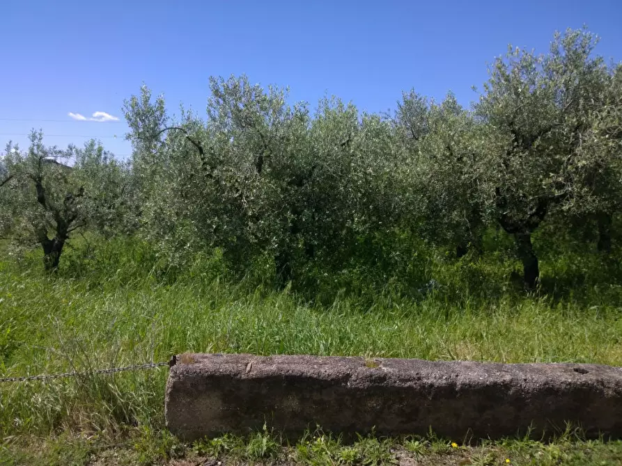 Immagine 2 di Terreno in vendita  in VIA ALESSANDRO VOLTA a Eboli