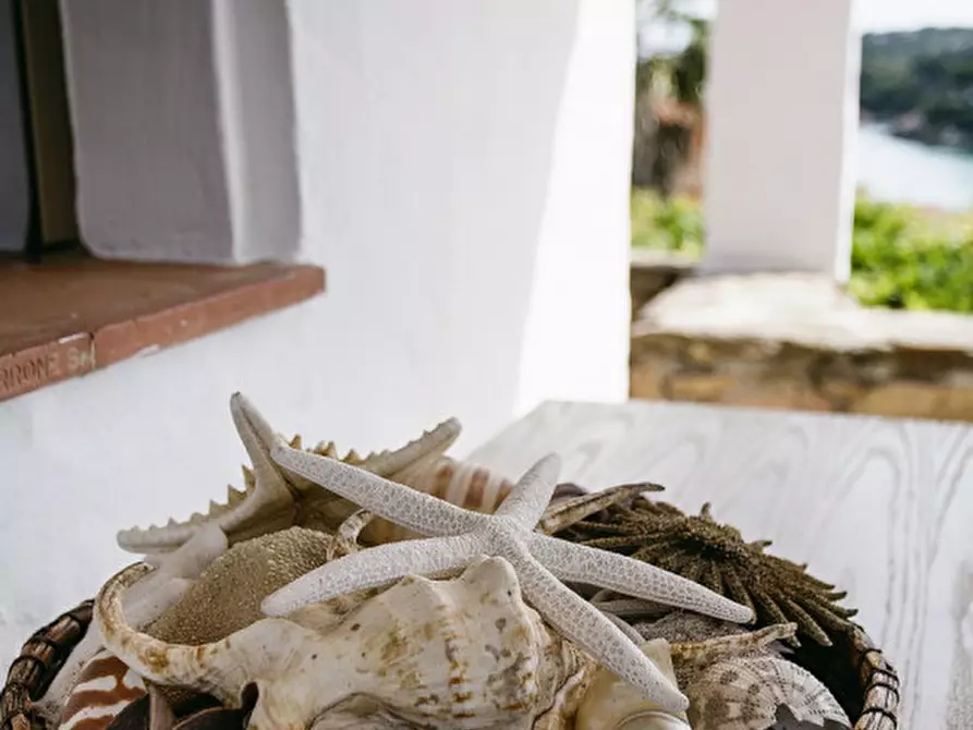 Immagine 2 di Villa in vendita  in CALA GIRGOLU a San Teodoro