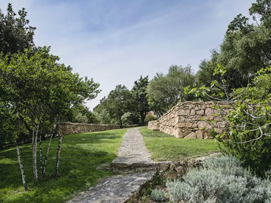 Immagine 5 di Villa in vendita  in CALA GIRGOLU a San Teodoro