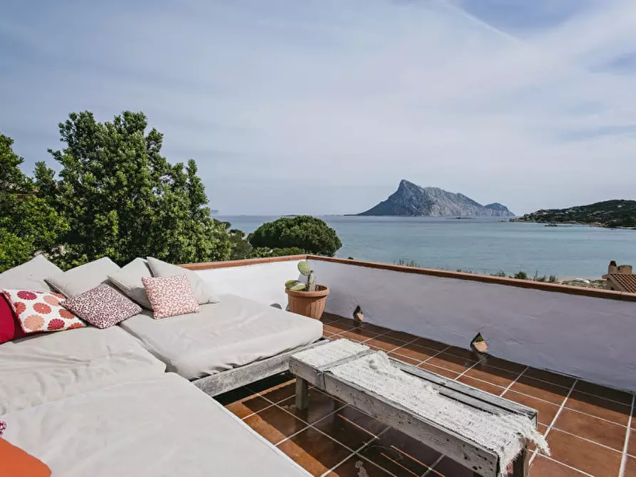 Immagine 6 di Villa in vendita  in CALA GIRGOLU a San Teodoro