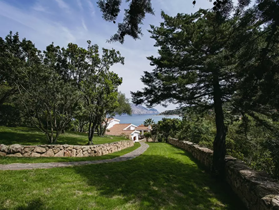 Immagine 10 di Villa in vendita  in CALA GIRGOLU a San Teodoro