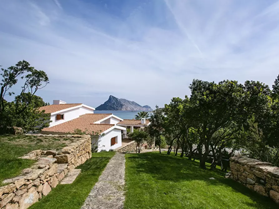 Immagine 11 di Villa in vendita  in CALA GIRGOLU a San Teodoro
