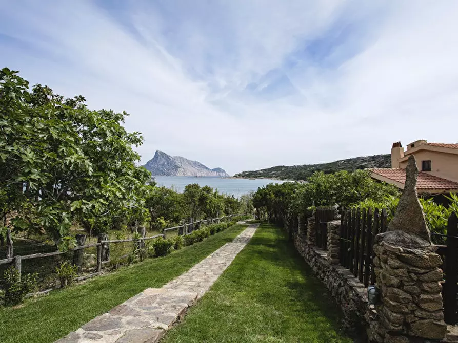 Immagine 13 di Villa in vendita  in CALA GIRGOLU a San Teodoro