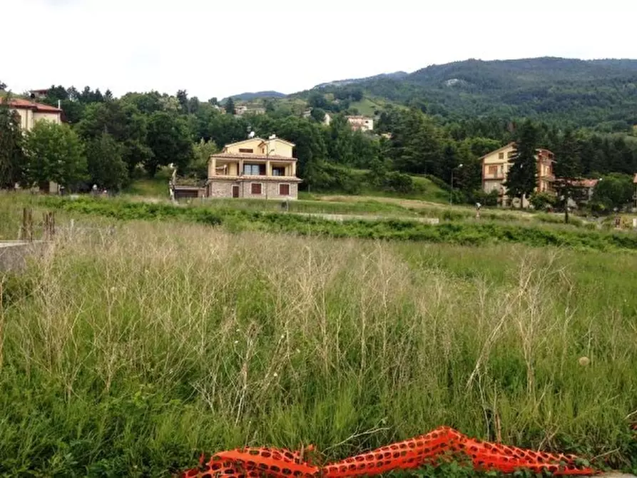 Immagine 4 di Terreno in vendita  a Carpegna