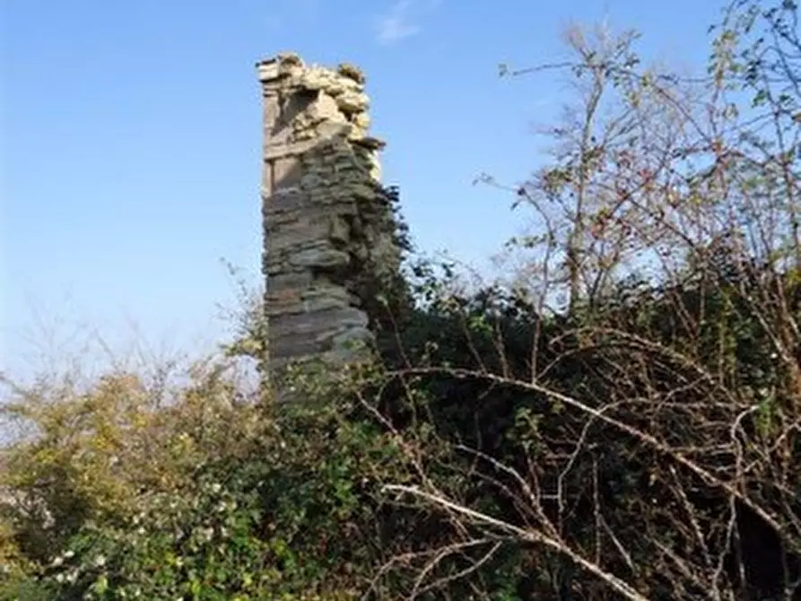 Immagine 4 di Rustico / casale in vendita  a Lunano