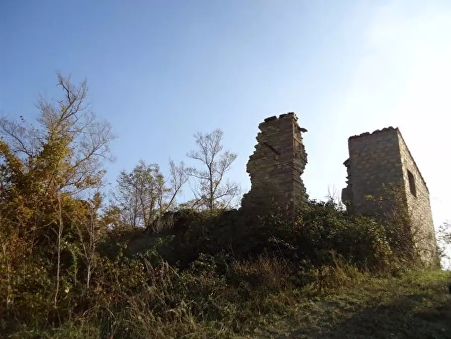 Immagine 6 di Rustico / casale in vendita  a Lunano