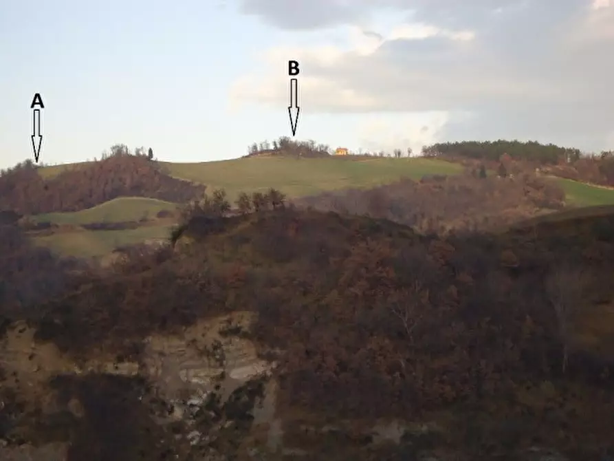 Immagine 8 di Rustico / casale in vendita  a Lunano