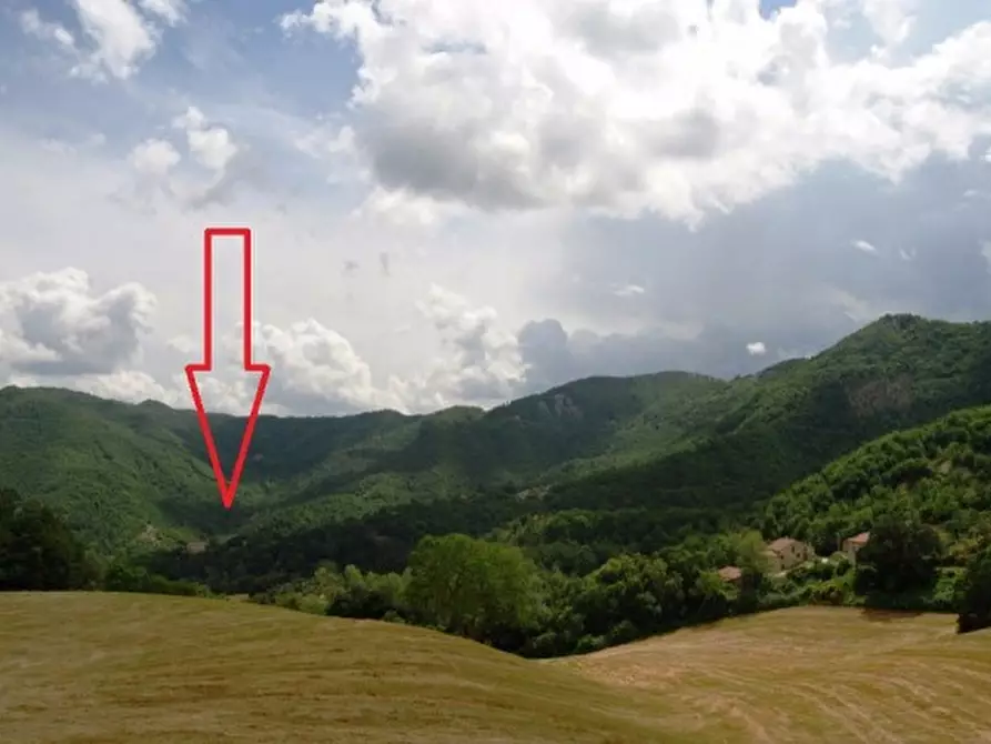 Immagine 3 di Rustico / casale in vendita  a Borgo Pace