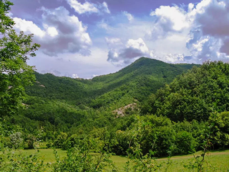 Immagine 4 di Rustico / casale in vendita  a Borgo Pace